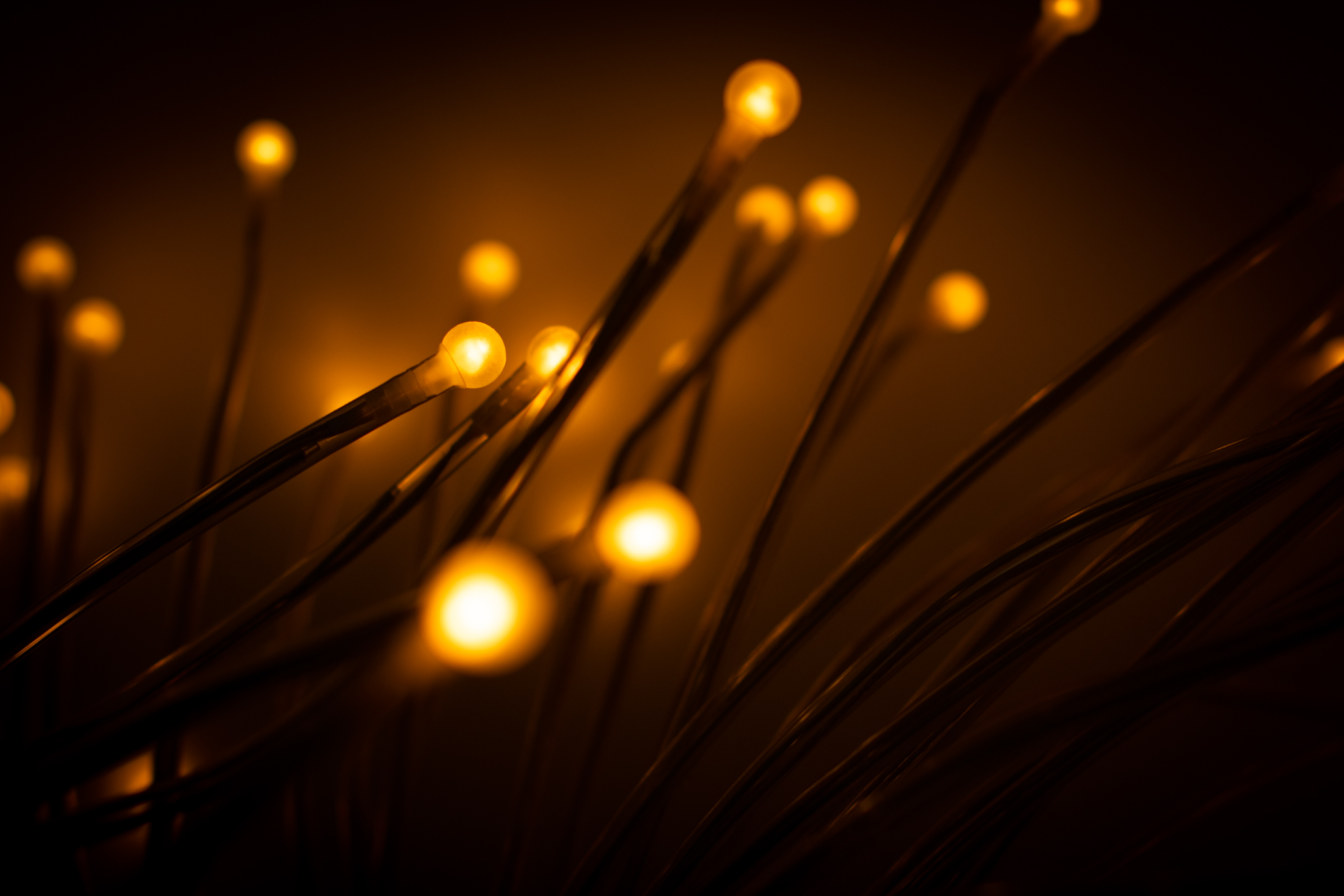 Let There Be Light