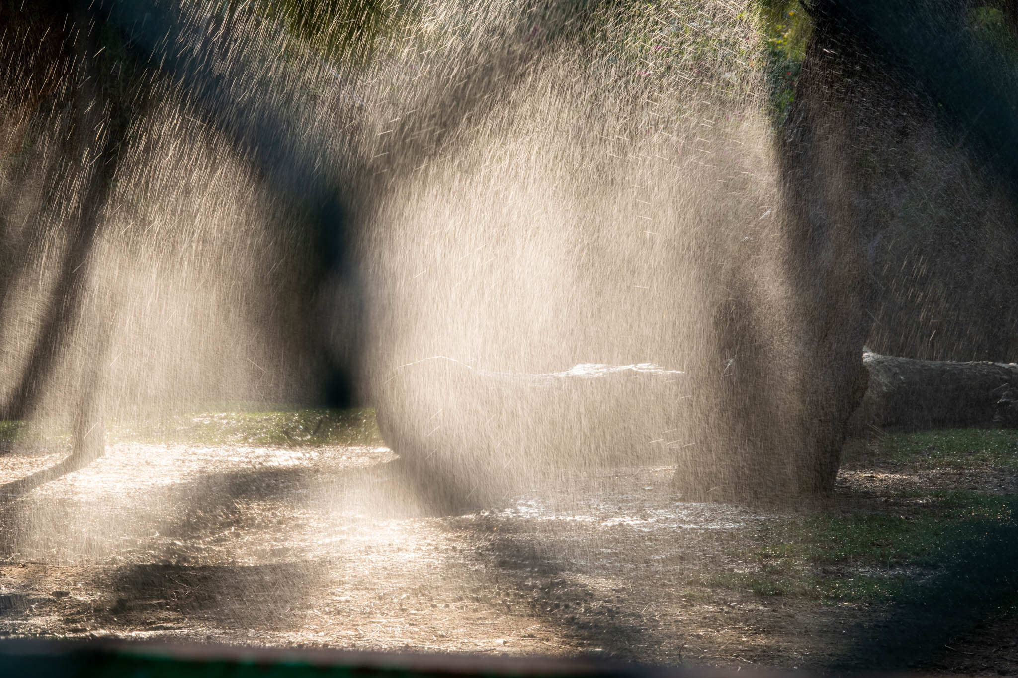 Narrow Aperture Landscape