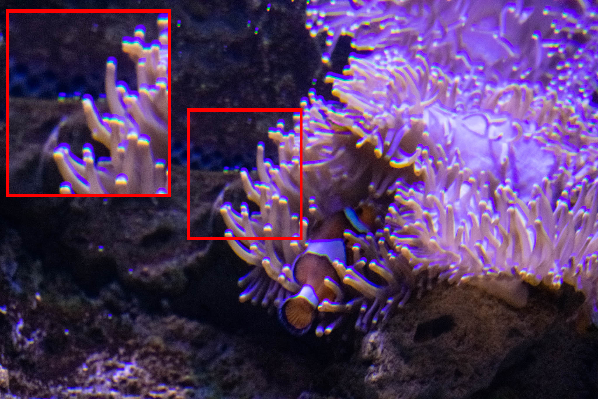 Refraction Purple Fringing (Ghosting)